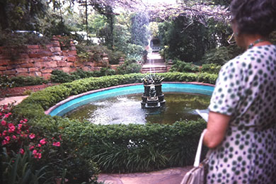 Chandor Gardens 1963